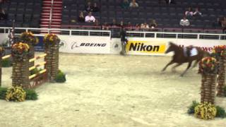 Chaos at the Washington International Horse Show [upl. by Nonnah]