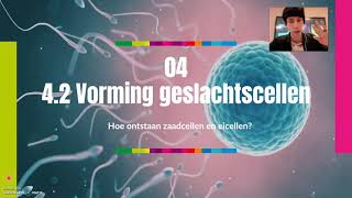 V4  Vorming van geslachtscellen  meiose  42 [upl. by Dyanne]