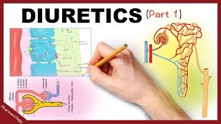 Pharmacology  Diuretics Simplified Part 1 [upl. by Fai11]