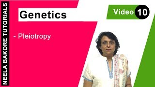 Genetics  Principles of Inheritance amp Variations  Pleiotropy  NEET  Neela Bakore Tutorials [upl. by Garett562]