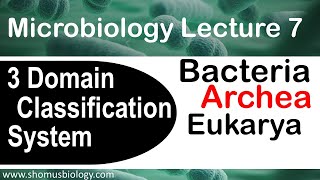 Microbiology lecture 7  3 domain classification system  Archea bacteria and eukarya [upl. by Nisa566]