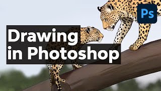 How to Draw in Photoshop [upl. by Kira]