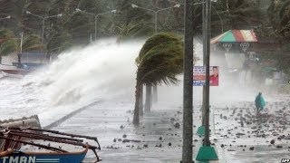 TYPHOON HAIYAN BATTERS THE PHILIPPINES  BBC NEWS [upl. by Baumbaugh]