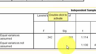 independent t test salaries and gender SPSS [upl. by Nolly]