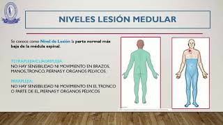 Niveles y tipos de lesión medular [upl. by Tail125]