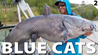 GIANT CATFISH on the Mighty Miss CATCH amp COOK  Field Trips Mississippi [upl. by Ergener]