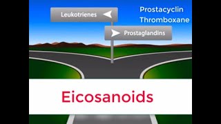 Eicosanoids in 2 minutes Prostaglandins Prostacyclin Thromboxane and Leukotrienes [upl. by Allicirp336]