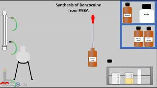 Synthesis of Benzocaine from Para Amino Benzoic Acid PABA [upl. by Oirom]