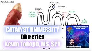 Diuretics  4 Major Classes  Mechanisms of Action [upl. by Setiram]