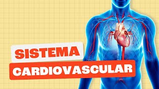 Sistema Cardiovascular  Toda Matéria [upl. by Yoko]