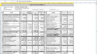 ELABORATION DES ETATS FINANCIERS SYSCOHADA [upl. by Adianes]