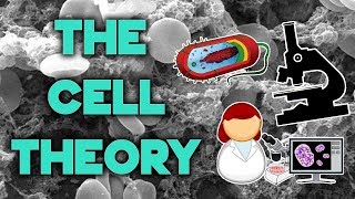 The Cell Theory  Complete Breakdown in 8 Minutes  Bio 101  STEMstream [upl. by Nitsud]