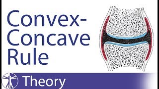 Kaltenborn ConcaveConvex Rule [upl. by So]