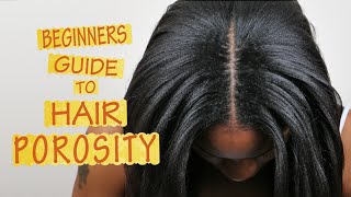 Hair Porosity 101  FOR BEGINNERS [upl. by Zachery]