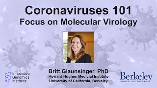 Coronaviruses 101 Focus on Molecular Virology [upl. by Dott]