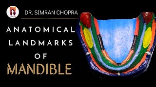 Anatomical Landmarks Of Mandible l Mandibular Landmarks l Prosthodontics [upl. by Anihsak684]