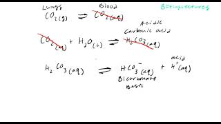 Biochemistry Lecture 3 Physiological Buffers [upl. by Oecile635]