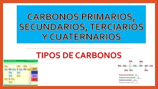 TIPOS DE CARBONOS CARBONO PRIMARIO SECUNDARIO TERCIARIO Y CUATERNARIO [upl. by Torosian]