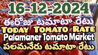 పలమనేరు 🍅🍅🍅టమాటో మార్కెట్ ధరలు 16122024 ఈ రోజు టమోటా ధర Palamaner Marketckgowthamvlogs [upl. by Enenaj]