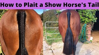 How to Plait a Horses Tail  Show Horse Presentation  How to Braid a Horses Tail [upl. by Aneekas]