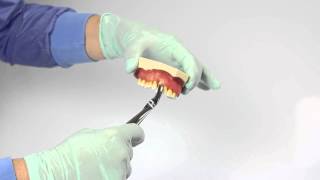 Tutorial 1  extracting forceps [upl. by Ehlke]