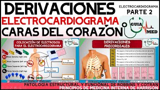 DERIVACIONES ELECTROCARDIOGRAMA Y CARAS DEL CORAZÓN  GuiaMed [upl. by Elohcim]