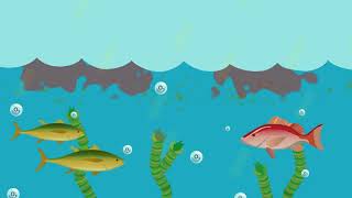 What is eutrophication [upl. by Yelkreb]