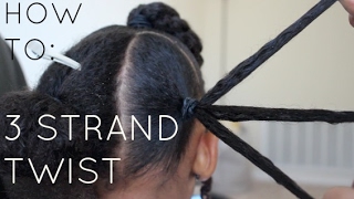 How To 3 Strand Twist  Step by Step [upl. by Genisia253]