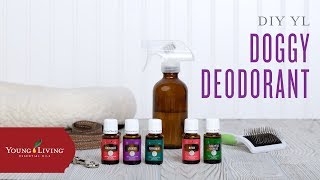 DIY Essential Oil Doggy Deodorant Young Living Essential Oils [upl. by Adiari]