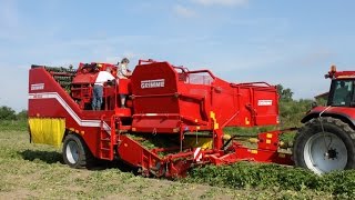 GRIMME SE 15060  trailed Potato Harvester [upl. by Aderfla]