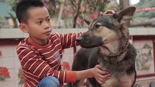 Rabies Vaccination can save lives [upl. by Korman815]