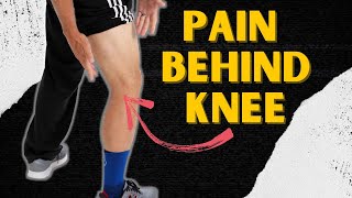 What is Causing the Pain Behind Your Knee How to Tell [upl. by Davilman799]