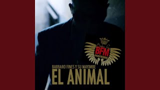 El Animal [upl. by Aynekal]