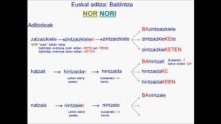 Baldintza nor nori [upl. by Rodi]