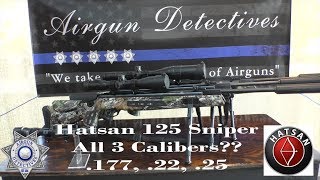 Hatsan 125 Sniper Vortex 177 22 and 25 Caliber quotFull Reviewquot by AIrgun Detectives [upl. by Ailegna90]