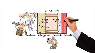 Pharmacology  DIURETICS MADE EASY [upl. by Helsie]