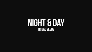 Tribal Seeds  Night amp Day OFFICIAL AUDIO [upl. by Enelrihs199]