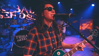 Tribal Seeds  Live The 2020 Sessions Full Show [upl. by Ynoyrb136]