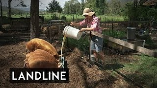 The Invisible Farmer who saved the family farm [upl. by Lenno]