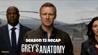 Greys Anatomy Season 13 Recap [upl. by Devon293]