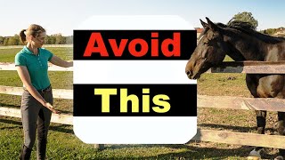 BEGINNER HORSE RIDING MISTAKES  TOP 10 🐴 [upl. by Adliw421]