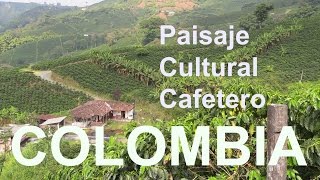 Viaje por los cafetales de Colombia QUINDÍO RISARALDA  CALDAS [upl. by Jerusalem234]