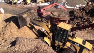 Stump Grinding with Morbark 1300 [upl. by Malo810]