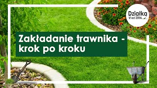 Zakładanie trawnika w 7 krokach [upl. by Aynwad]