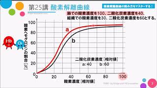 【高校講座 生物基礎】第25講「酸素解離曲線」 [upl. by Nathan120]