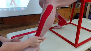 Kinesio taping  Tibialis Anterior [upl. by Ahsasal]