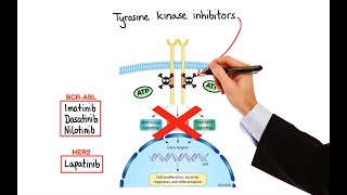 Pharmacology  CANCER DRUGS – CELL CYCLE INHIBITORS MADE EASY [upl. by Inajar822]