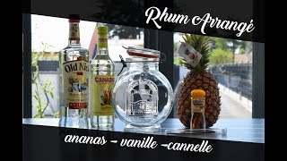 Rhum arrangé  Ananas  Vanille  Cannelle  Make amp Cook [upl. by Yeliw]