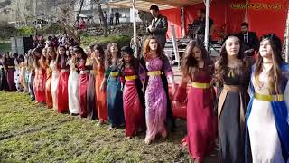 Kurdish Dance  Baile kurdo [upl. by Halilad]