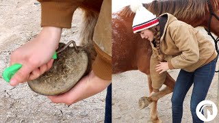 How To Clean A Horses Hooves The Easy Way [upl. by Eilrac]